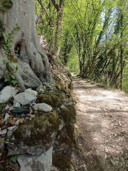Casa Nella Natura Il Risveglio Degli Elfi Pedavena Bagian luar foto