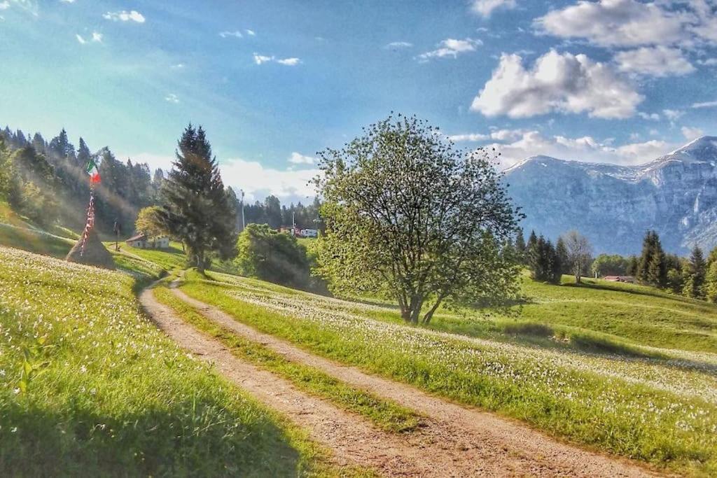 Casa Nella Natura Il Risveglio Degli Elfi Pedavena Bagian luar foto