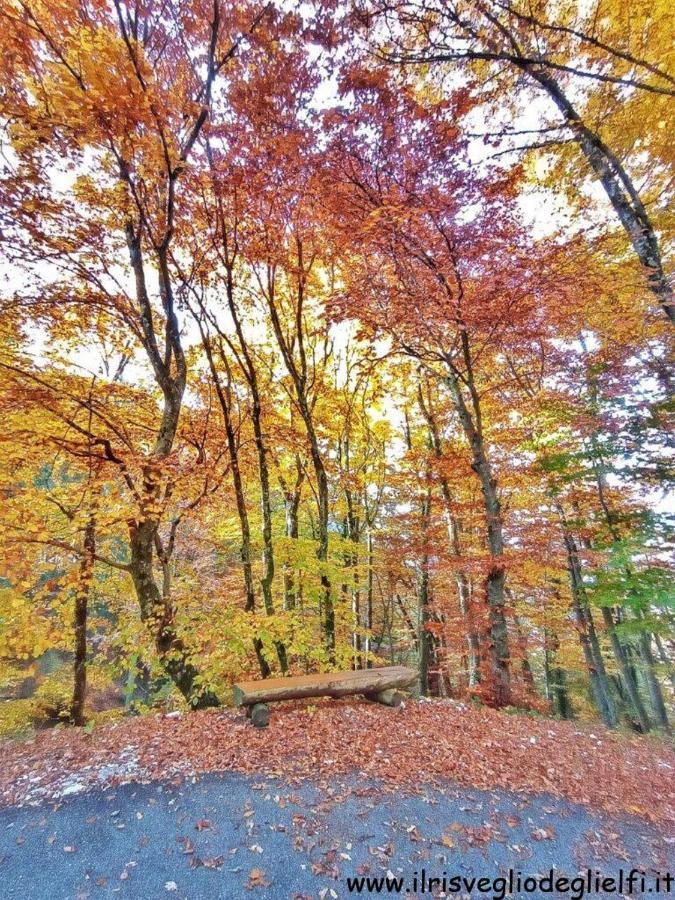 Casa Nella Natura Il Risveglio Degli Elfi Pedavena Bagian luar foto